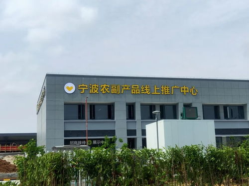 寧波農副產品物流中心一期試運營開啟 農產品流通新樞紐，便捷交通指南助您暢行