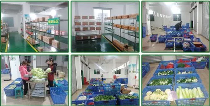 煜鮮農副產品配送 從田間到餐桌，守護您的每一餐新鮮