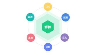 鮮橋訂貨軟件 賦能農(nóng)產(chǎn)品流通，讓晝夜奔忙更從容